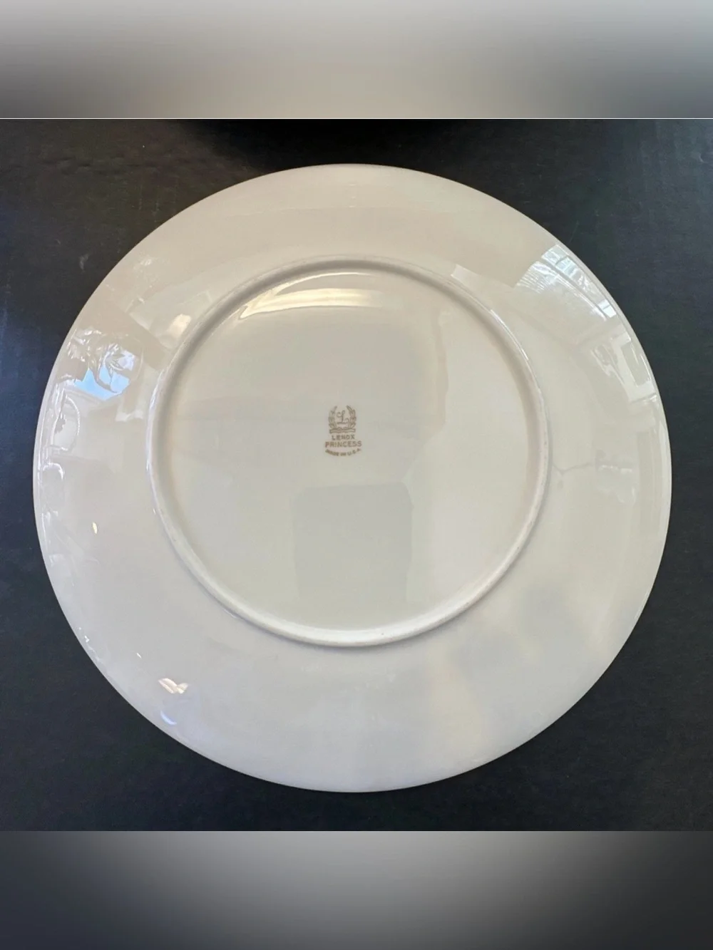 Lenox Princess Dinner Plates PAIR Hand Enameled Platinum Trim Thanksgiving Fall